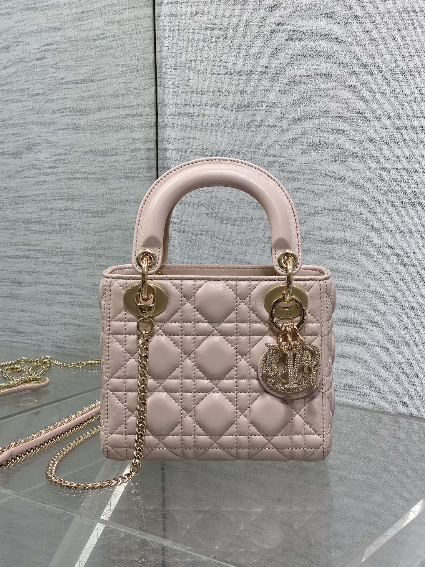 BAG-DIOR-W-LY-741