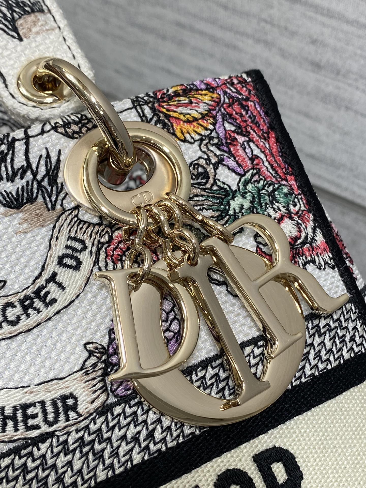 BAG-DIOR-W-LY-512