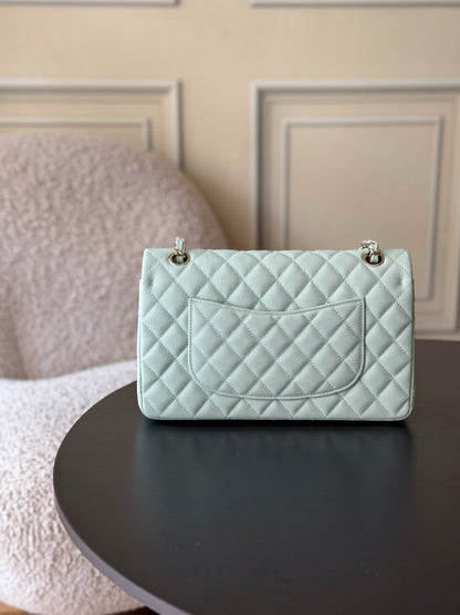 BAG-CHANEL-121