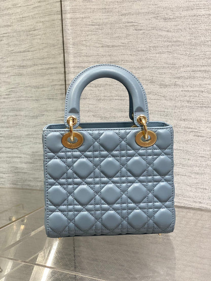 BAG-DIOR-W-LY-010