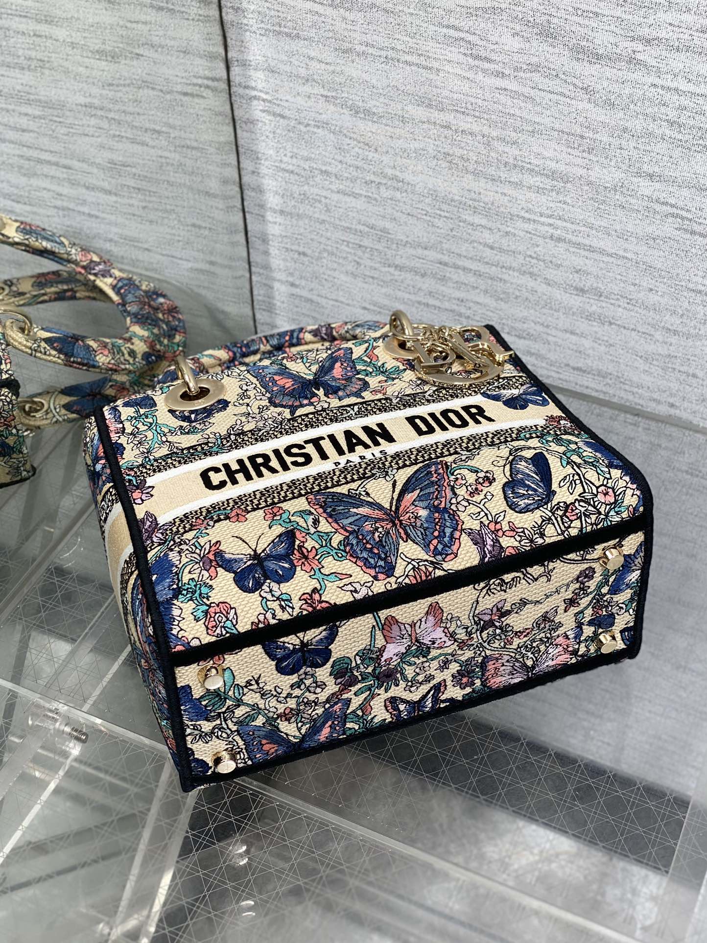 BAG-DIOR-W-LY-504