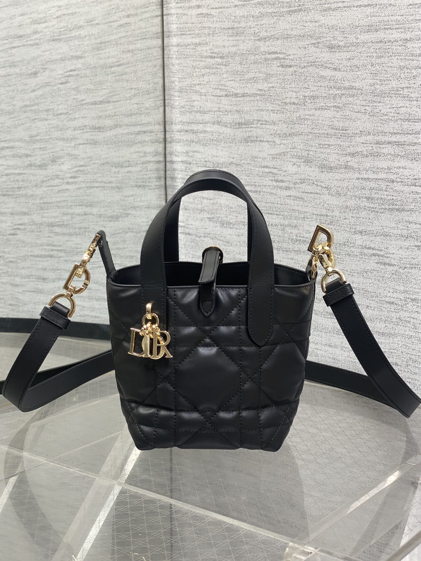 BAG-DIOR-W-LY-059