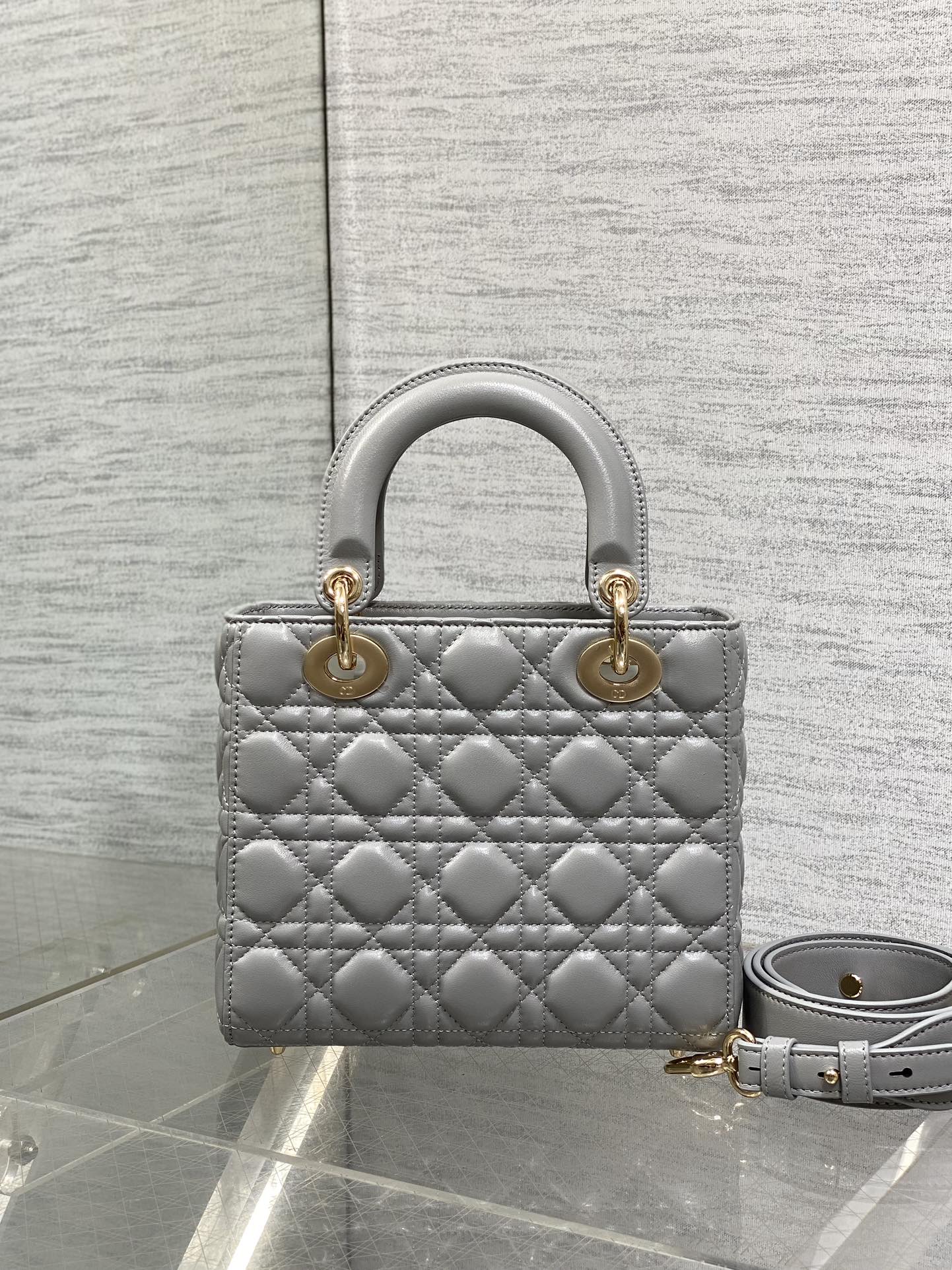 BAG-DIOR-W-LY-738