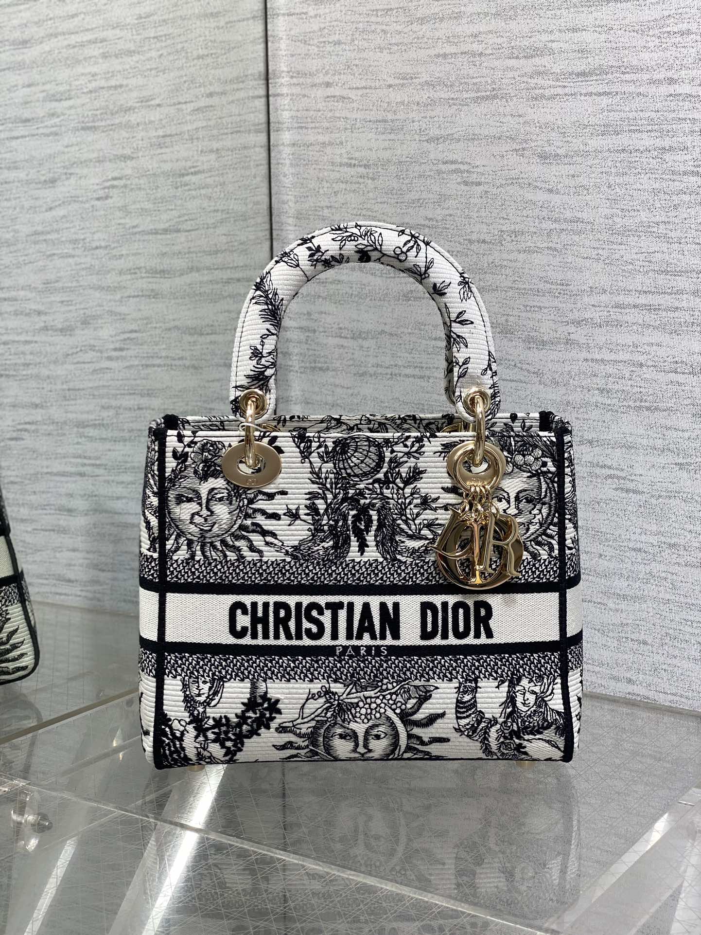 BAG-DIOR-W-LY-445