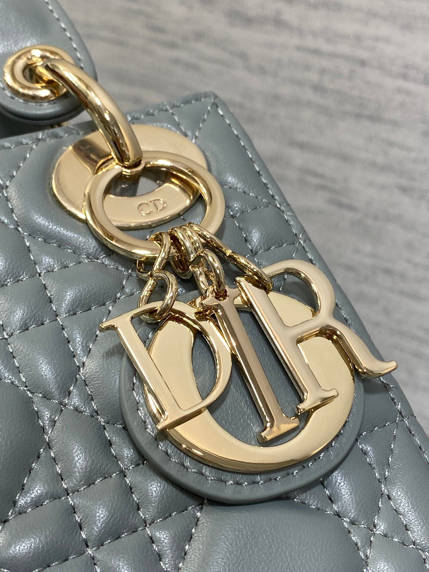 BAG-DIOR-W-LY-755