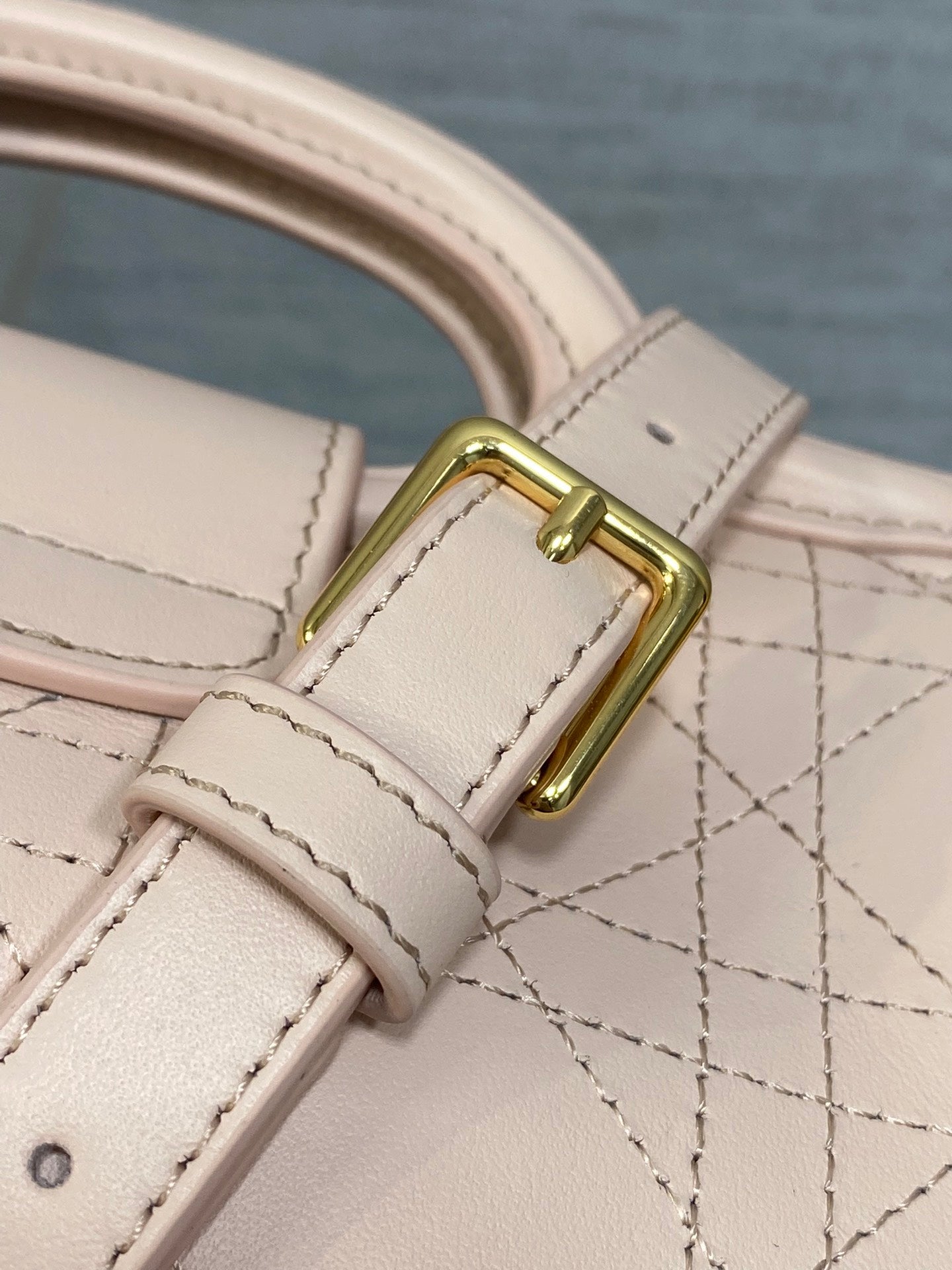 BAG-DIOR-W-LY-029