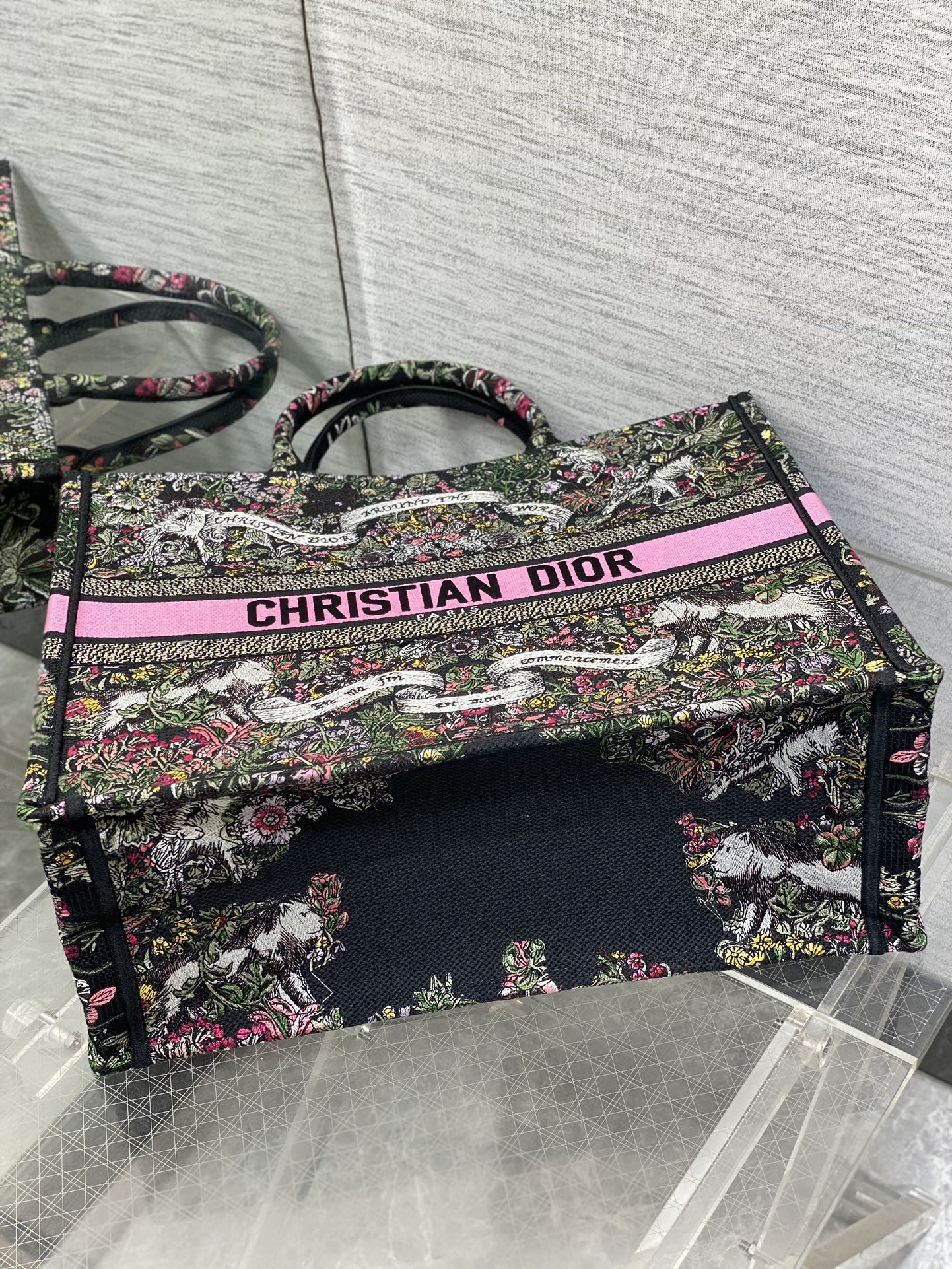 BAG-DIOR-W-LY-873