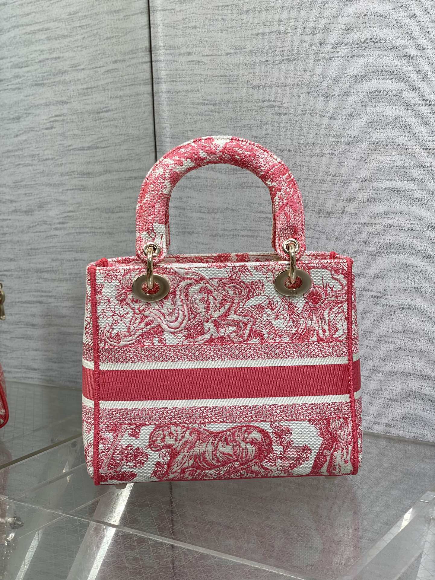 BAG-DIOR-W-LY-069