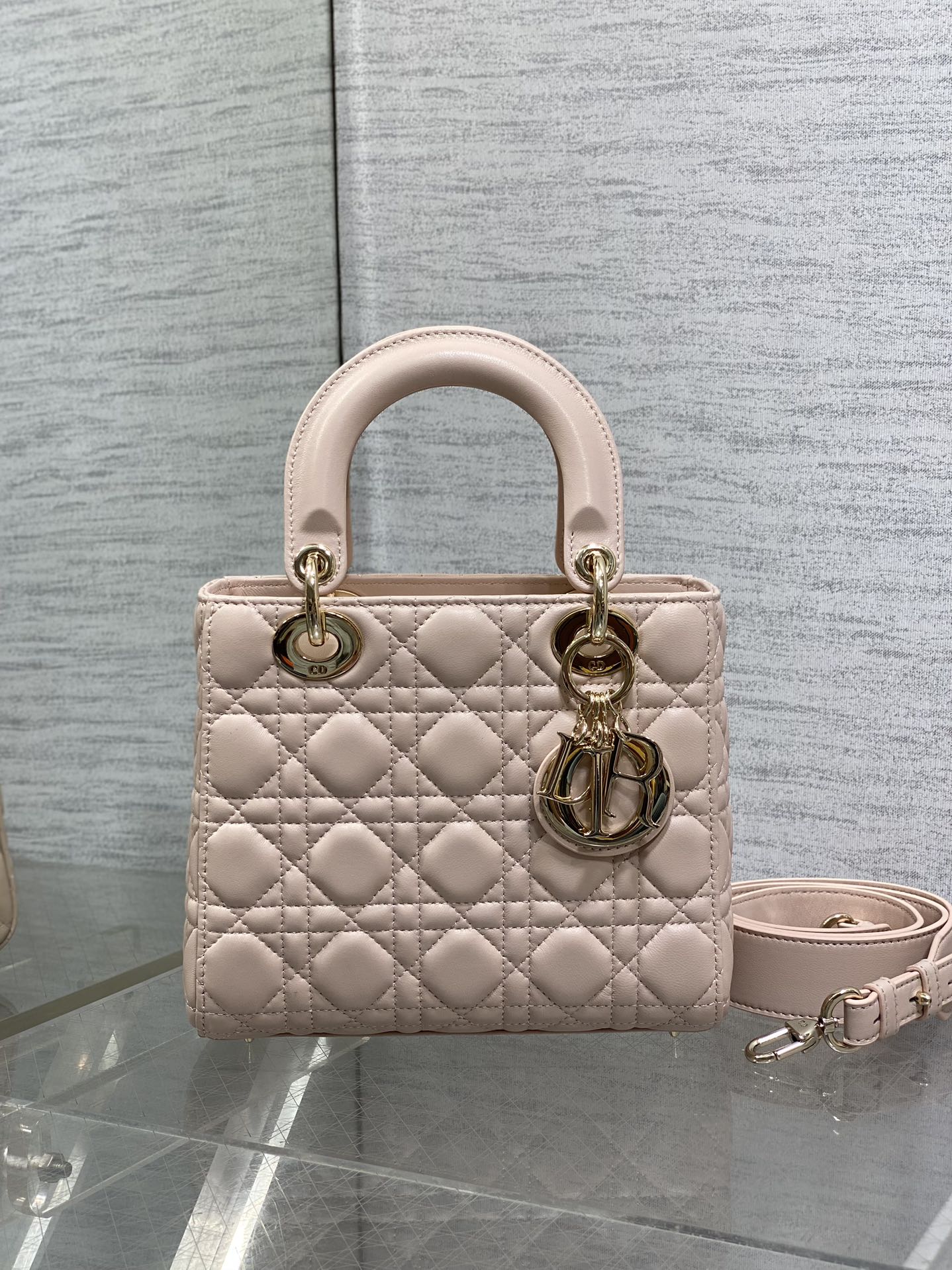 BAG-DIOR-W-LY-767