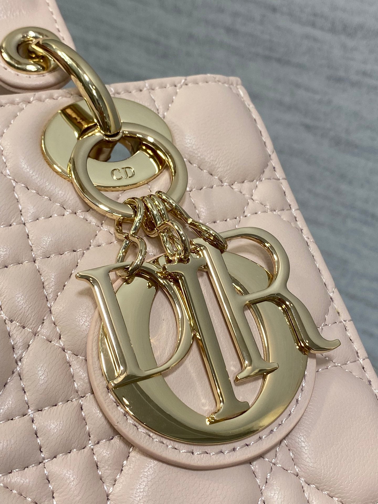 BAG-DIOR-W-LY-767
