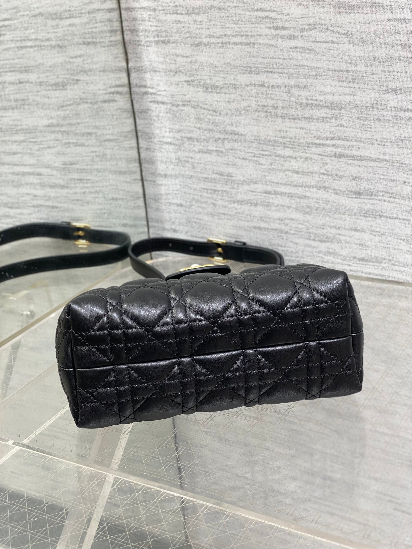 BAG-DIOR-W-LY-020