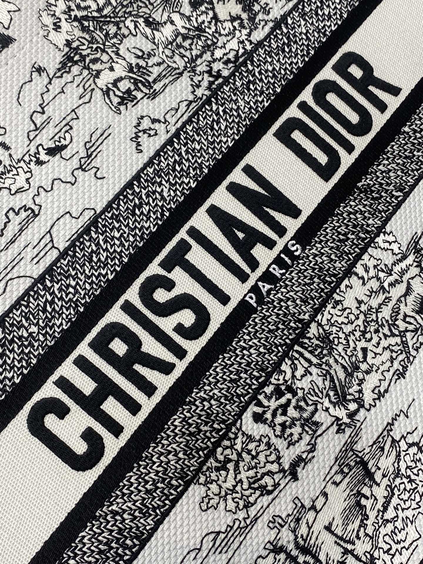 BAG-DIOR-W-LY-863