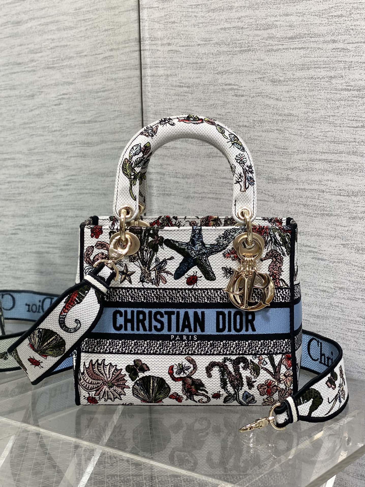 BAG-DIOR-W-LY-074