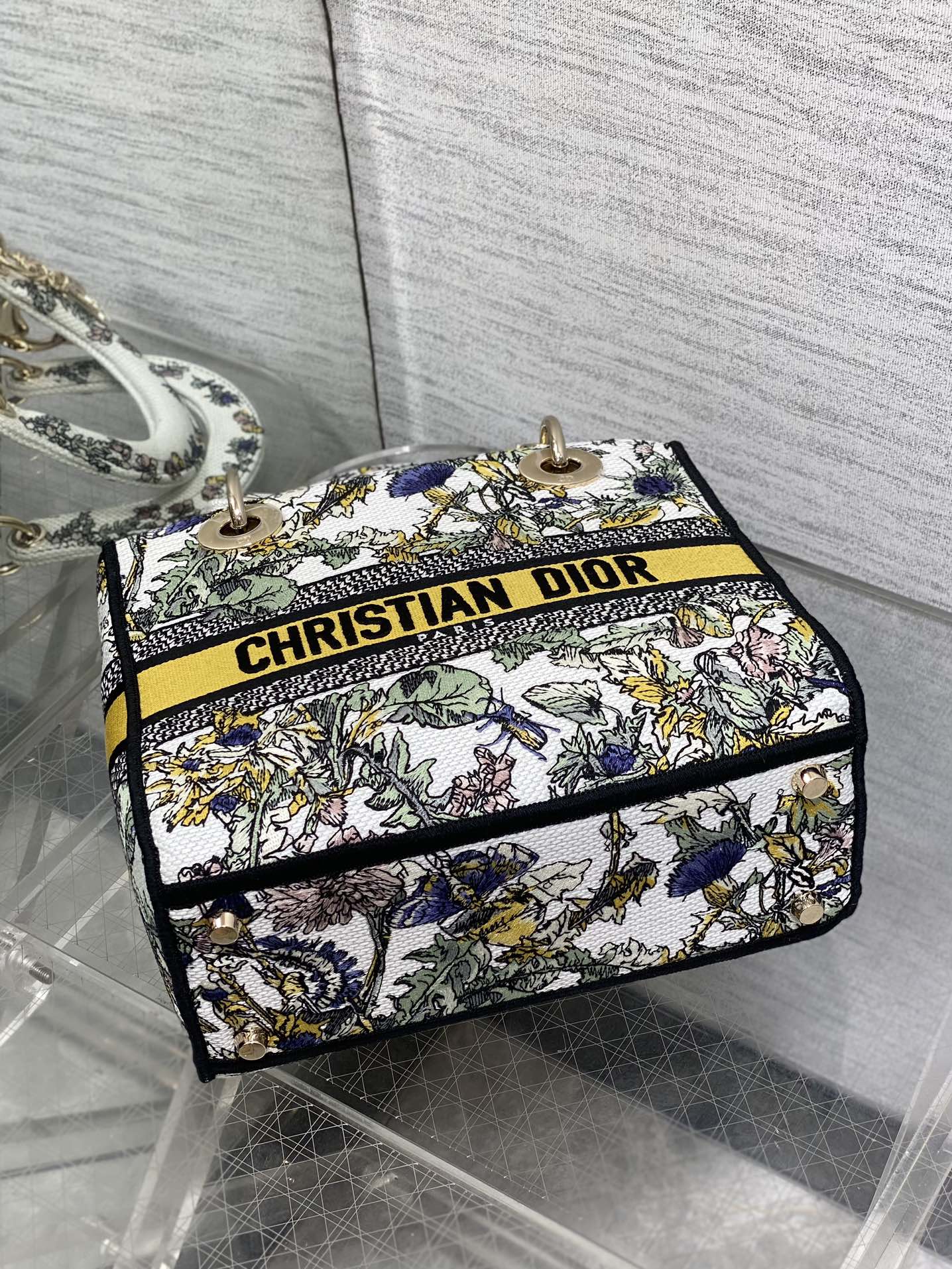 BAG-DIOR-W-LY-077
