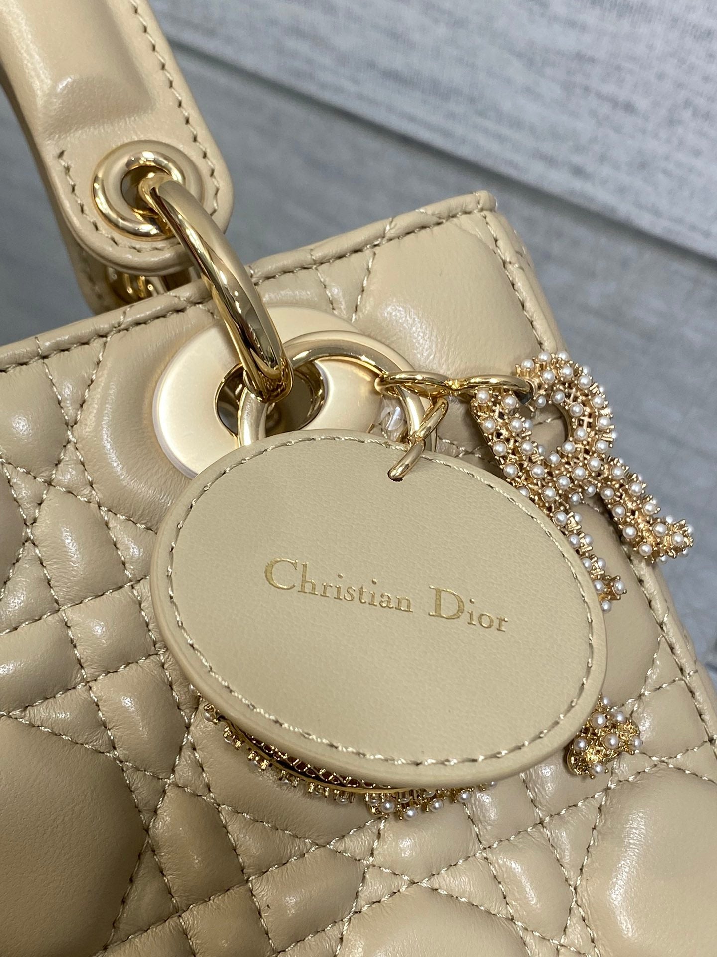 BAG-DIOR-W-LY-737