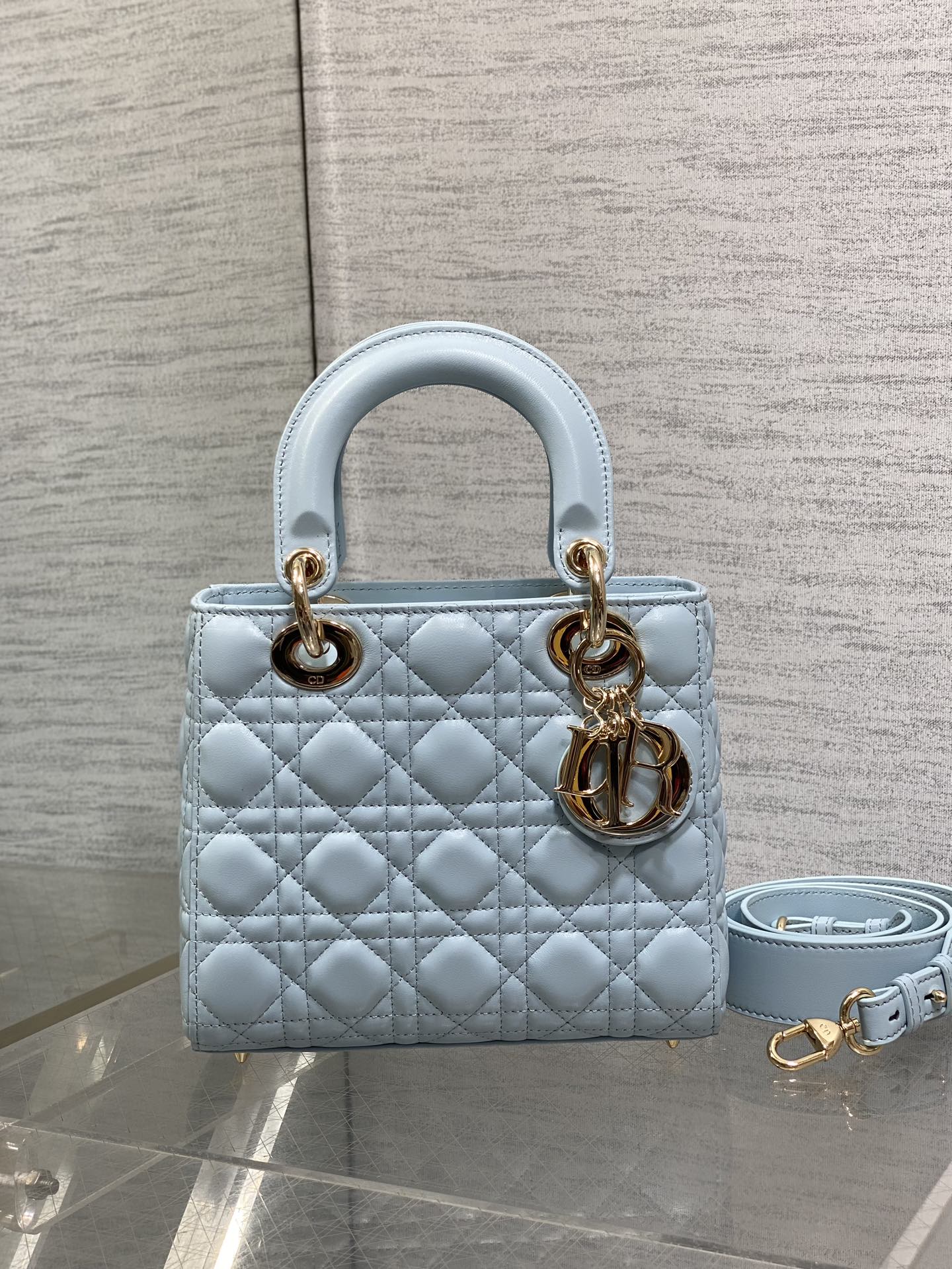 BAG-DIOR-W-LY-768