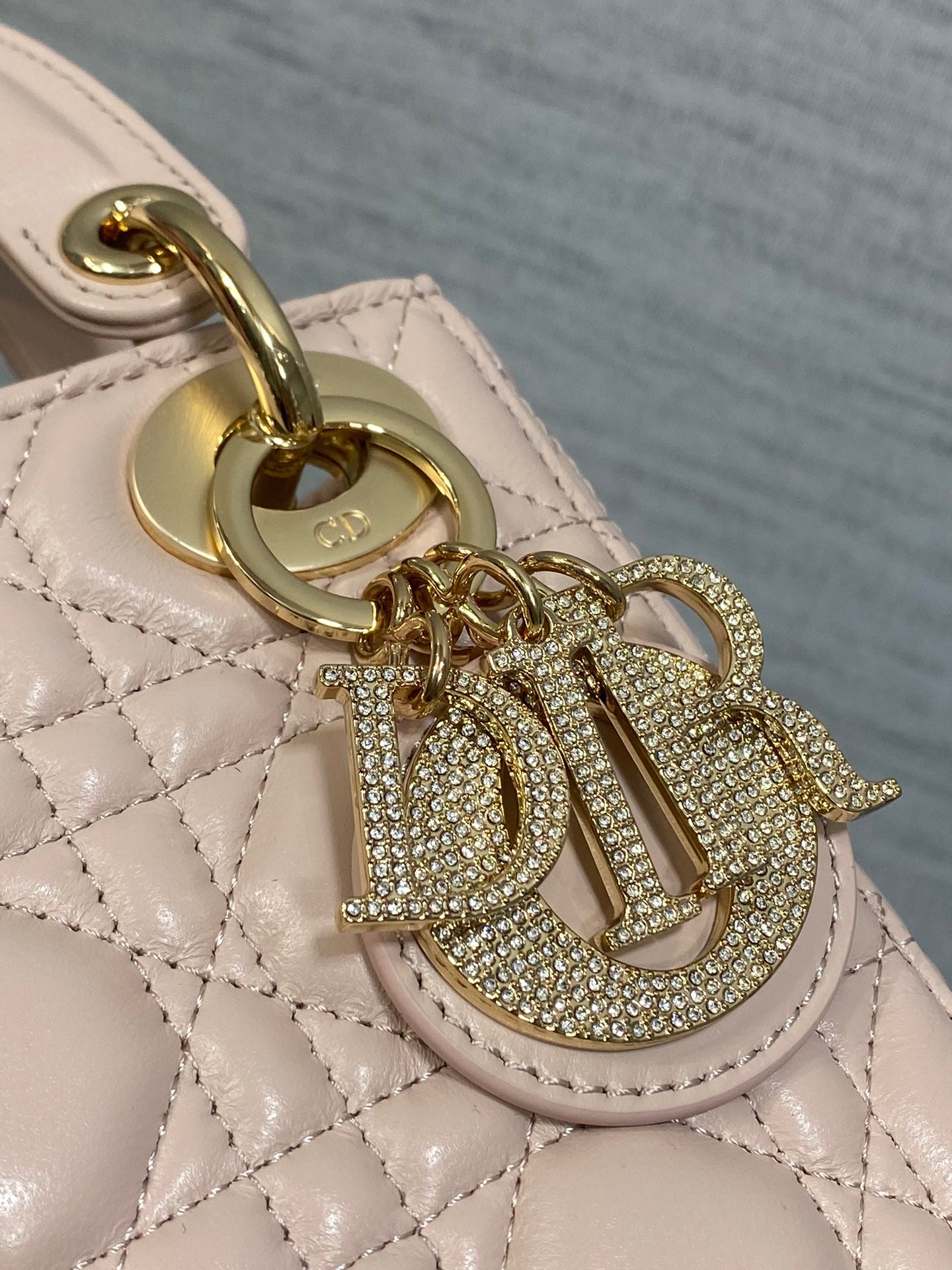 BAG-DIOR-W-LY-741