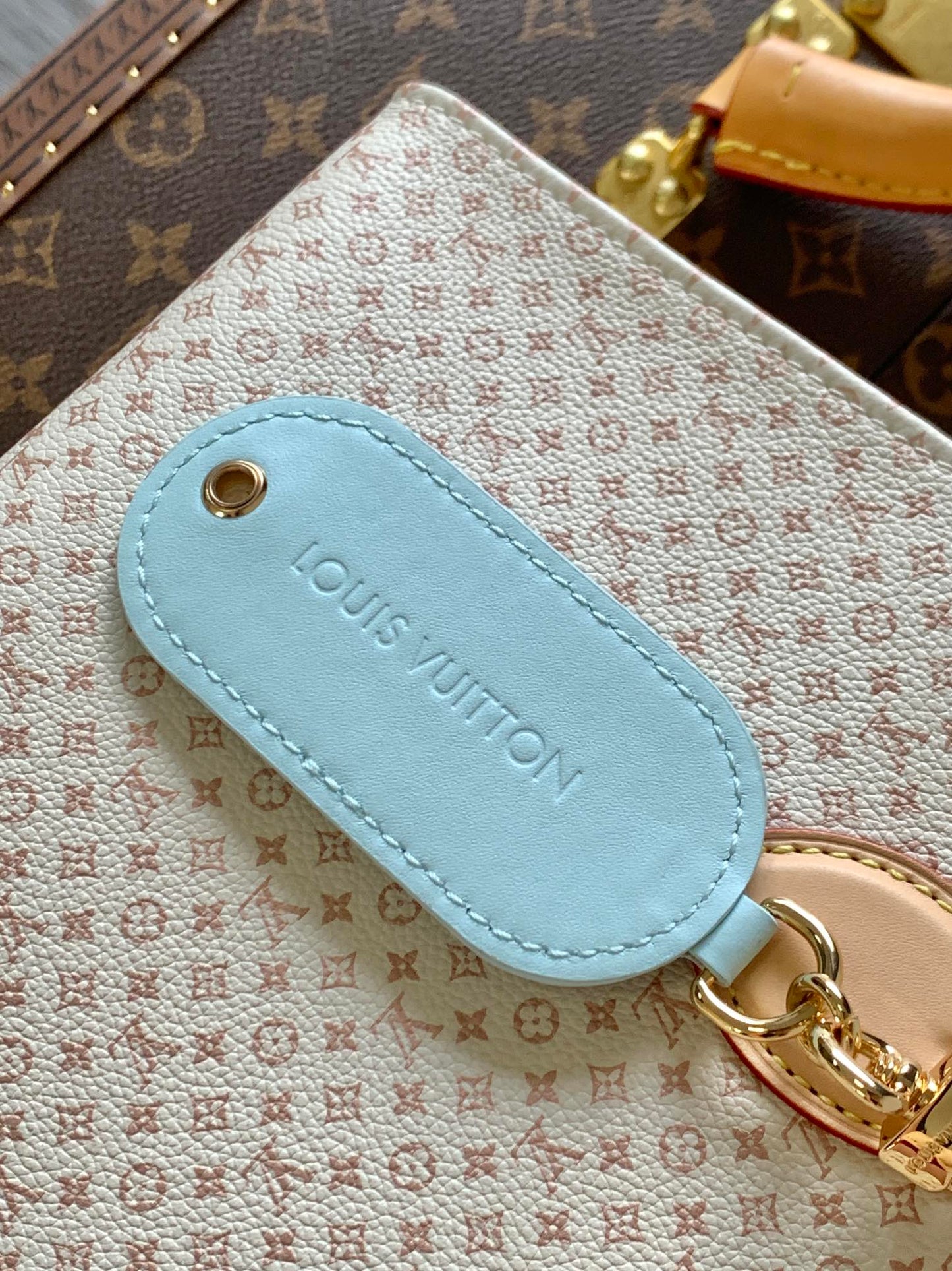 BAG-LV-W-NEW-953