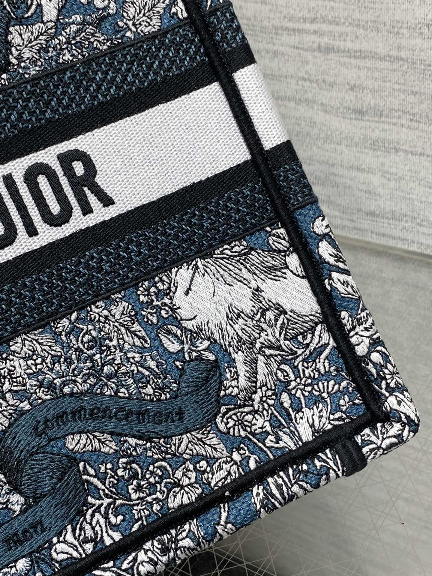 BAG-DIOR-W-LY-824