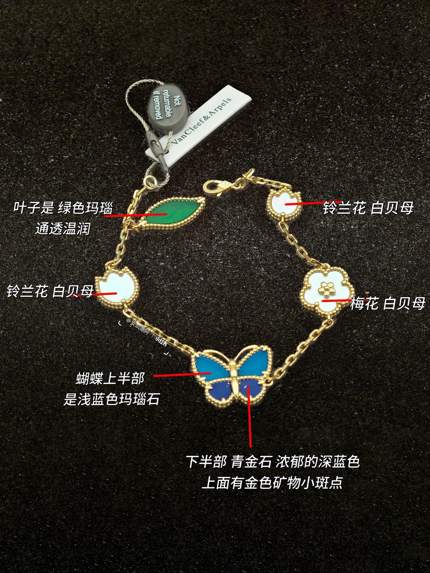 SP-VY-NEW-064