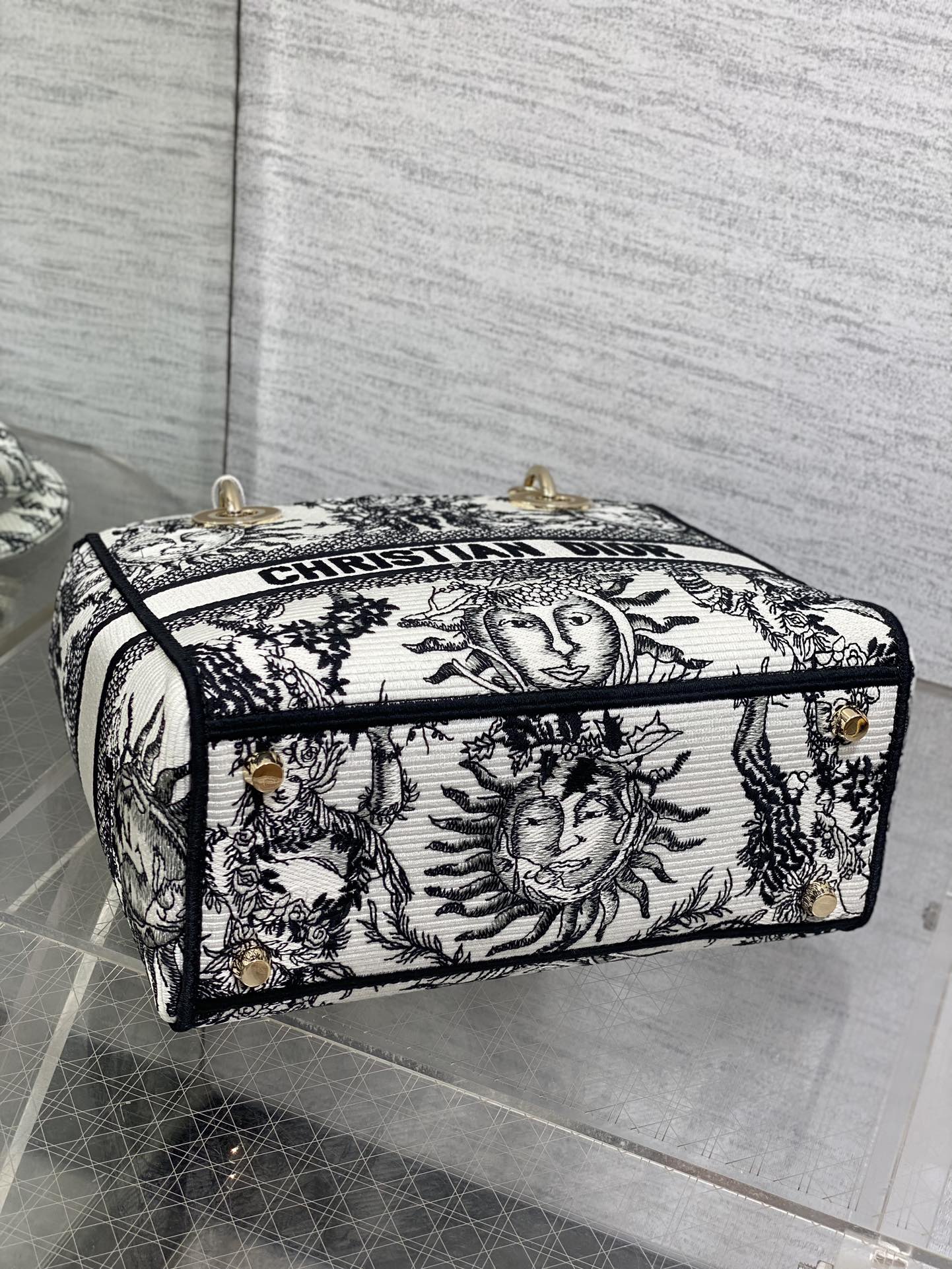 BAG-DIOR-W-LY-445