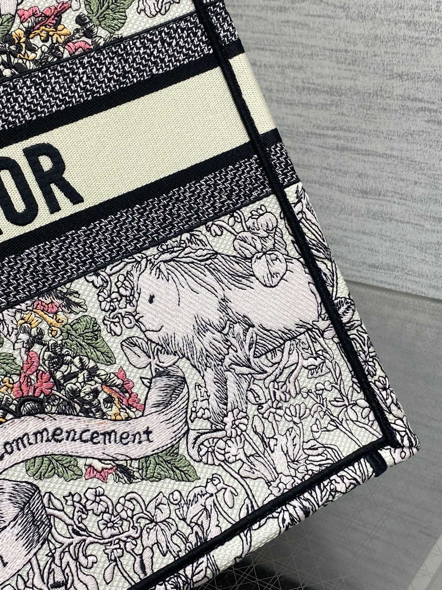 BAG-DIOR-W-LY-844