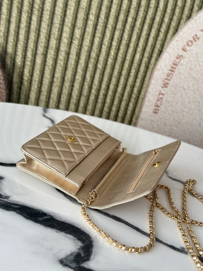 BAG-CHANEL-309