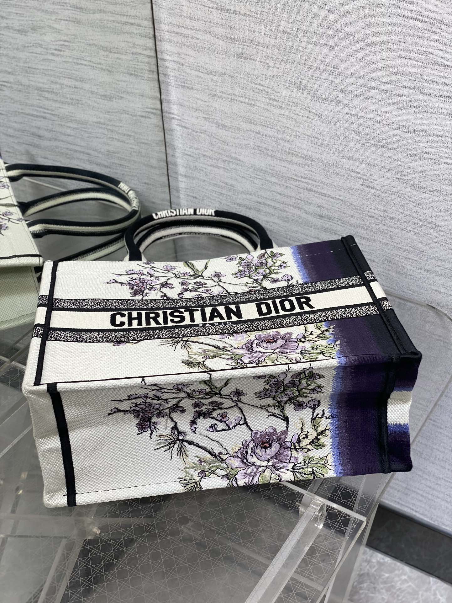 BAG-DIOR-W-LY-205