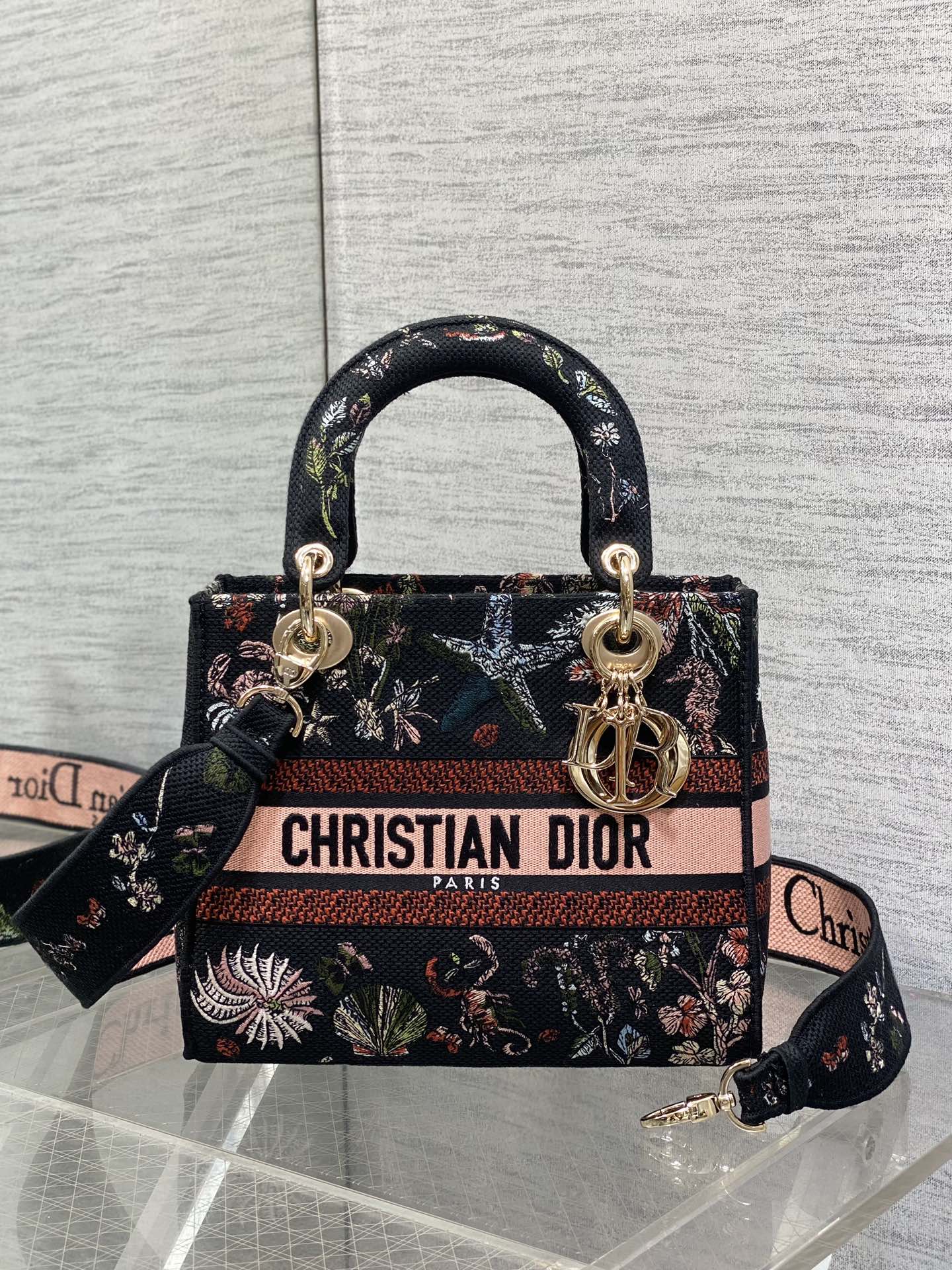 BAG-DIOR-W-LY-075