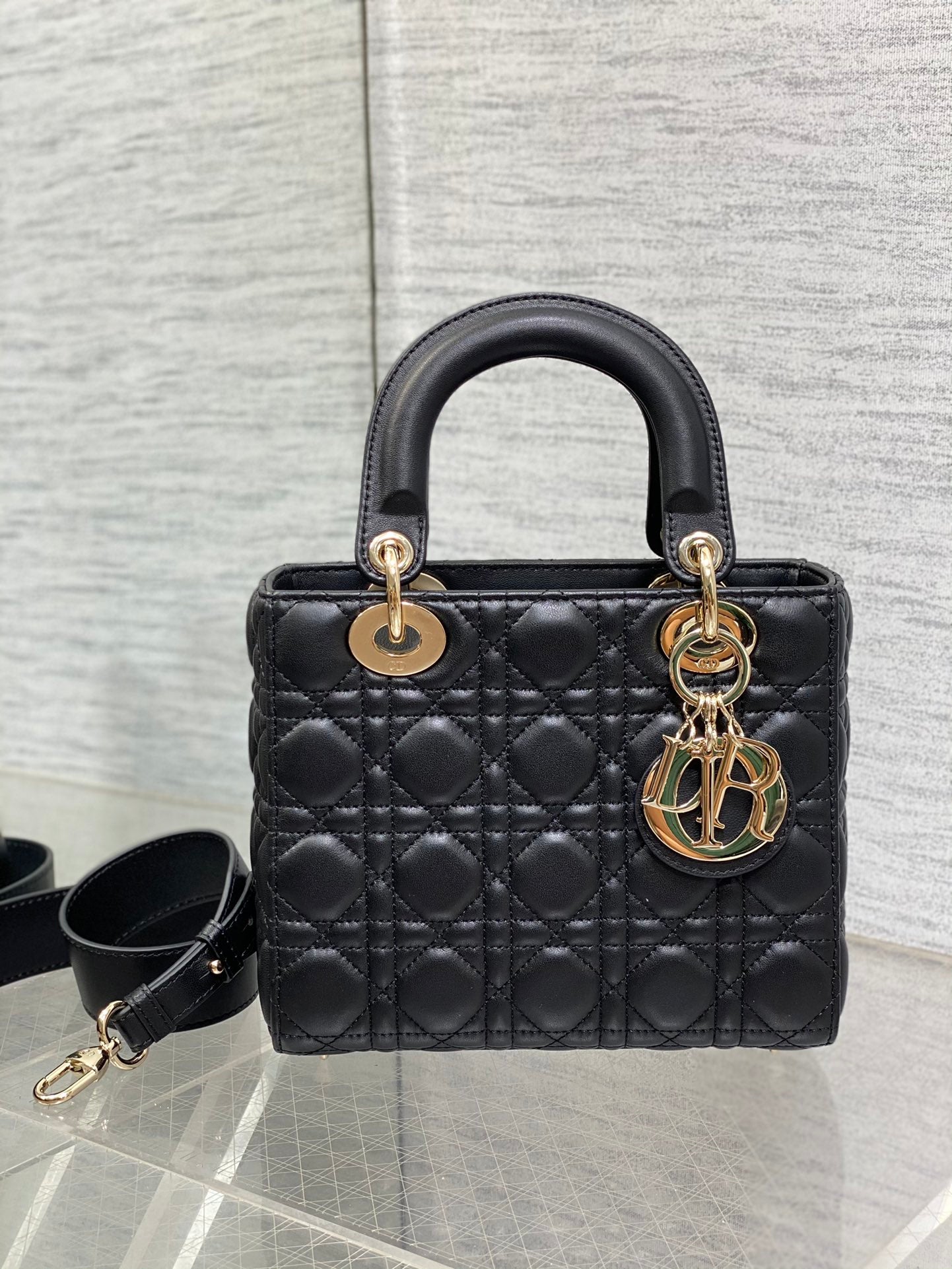 BAG-DIOR-W-LY-662