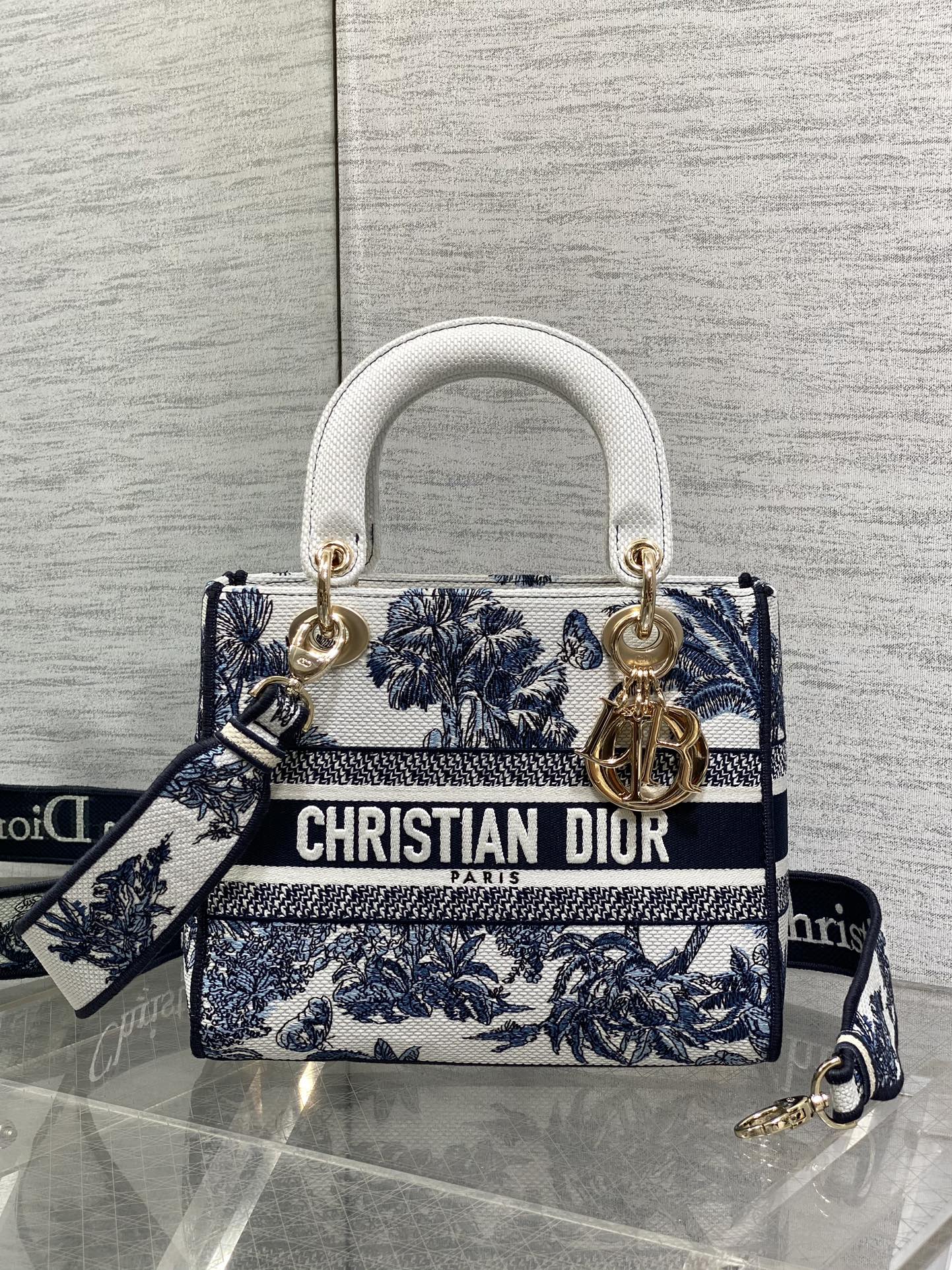 BAG-DIOR-W-LY-515