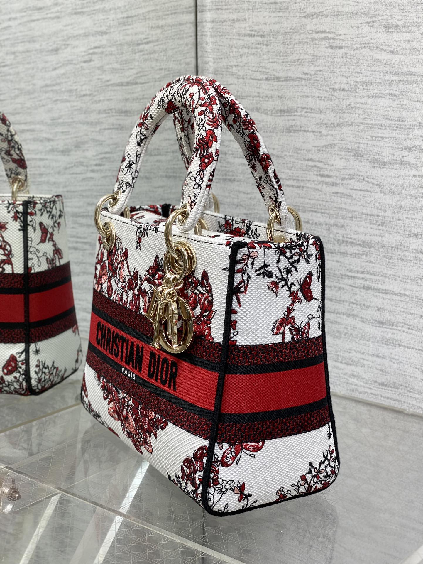 BAG-DIOR-W-LY-447