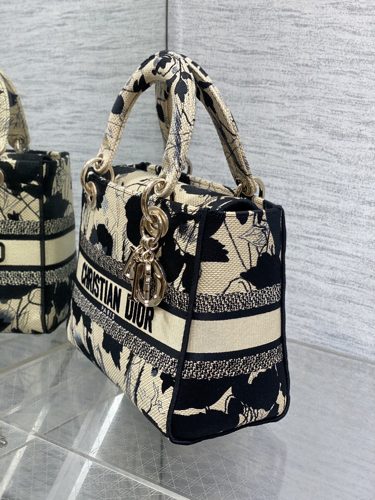 BAG-DIOR-W-LY-493