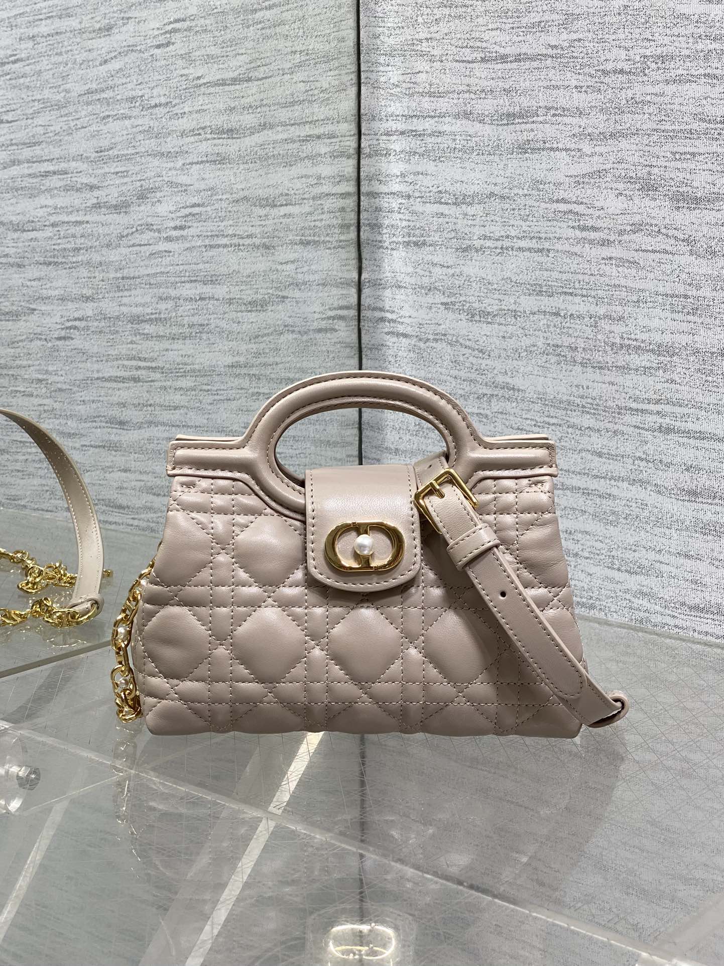 BAG-DIOR-W-LY-023