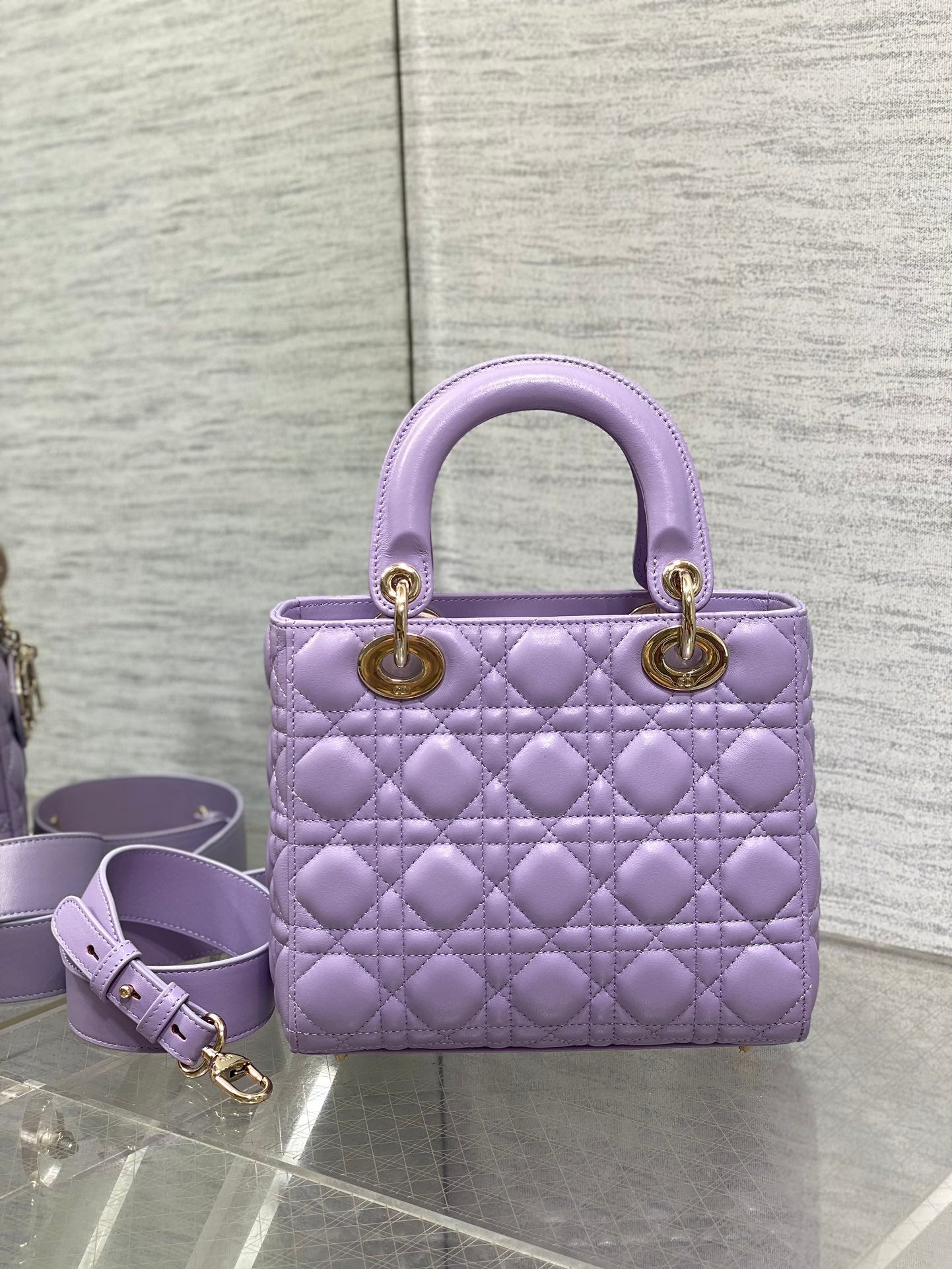 BAG-DIOR-W-LY-672