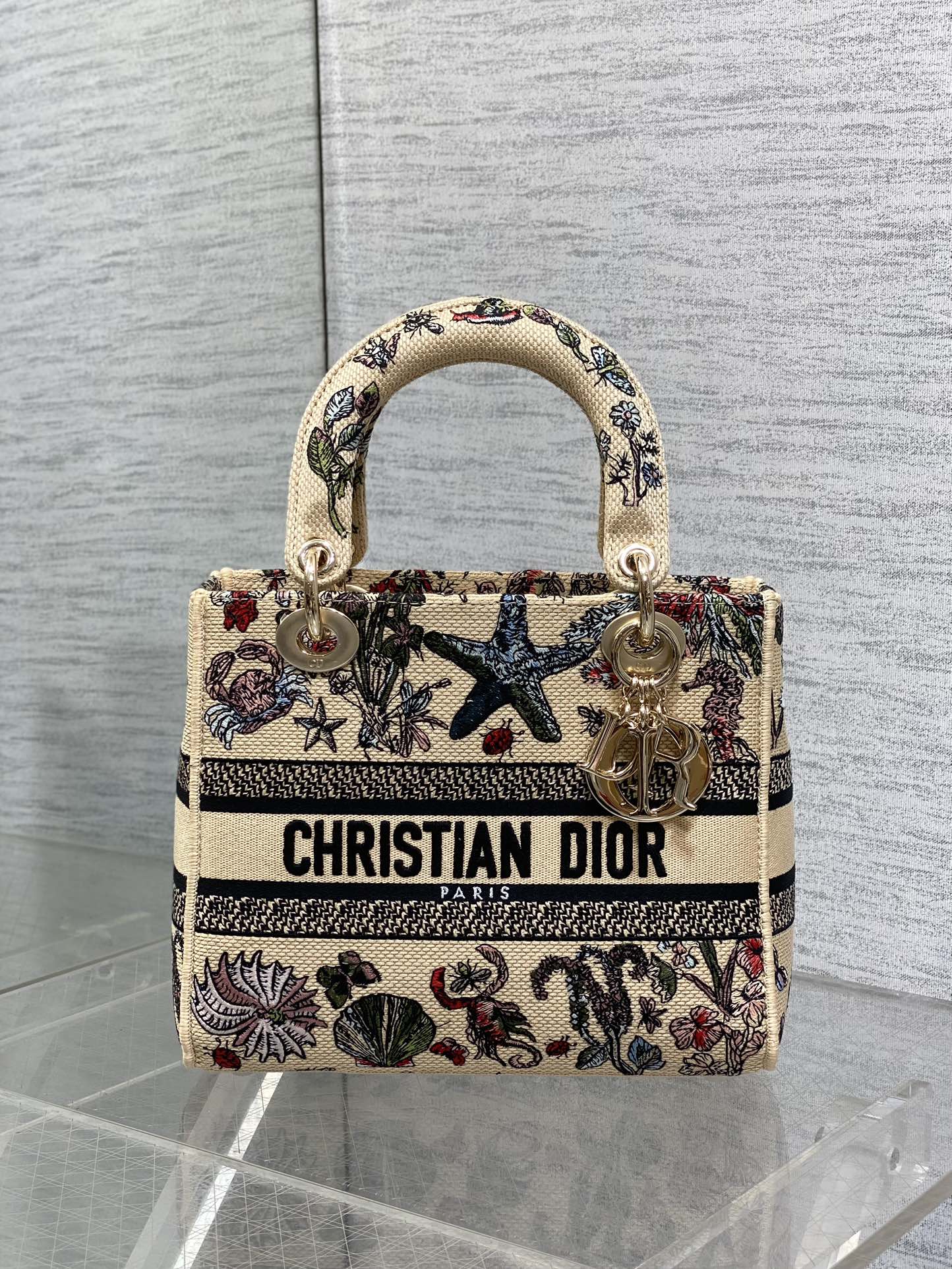 BAG-DIOR-W-LY-502