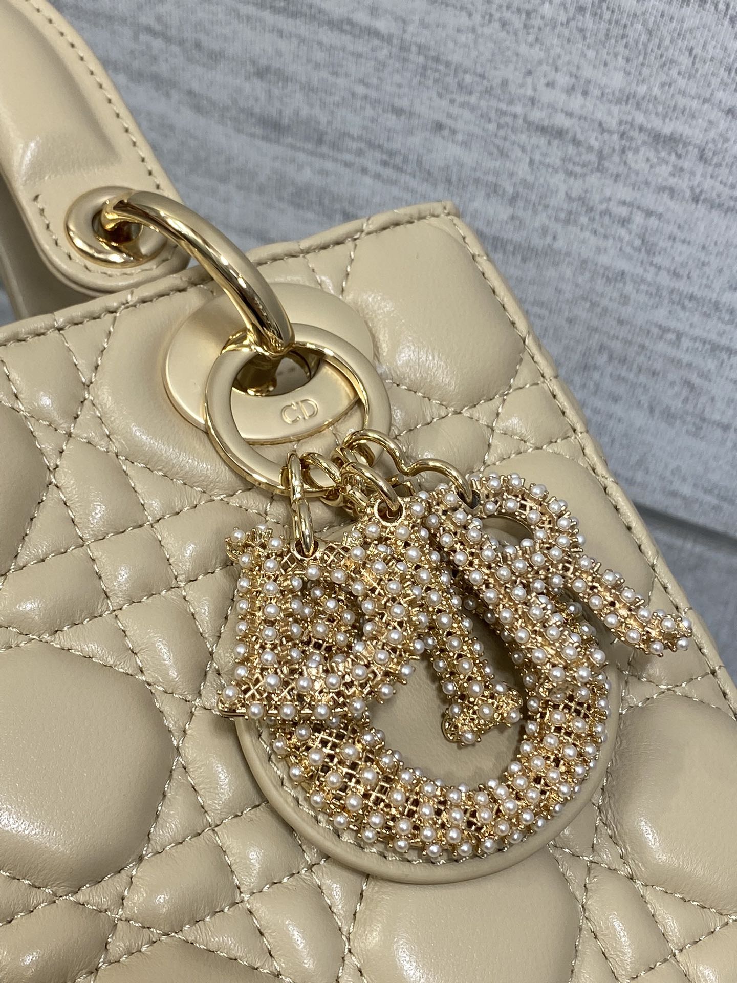 BAG-DIOR-W-LY-737