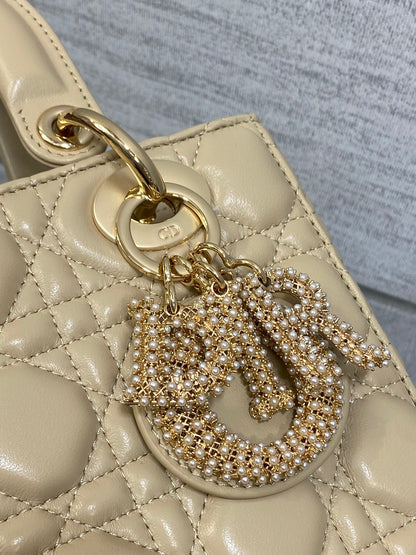 BAG-DIOR-W-LY-737