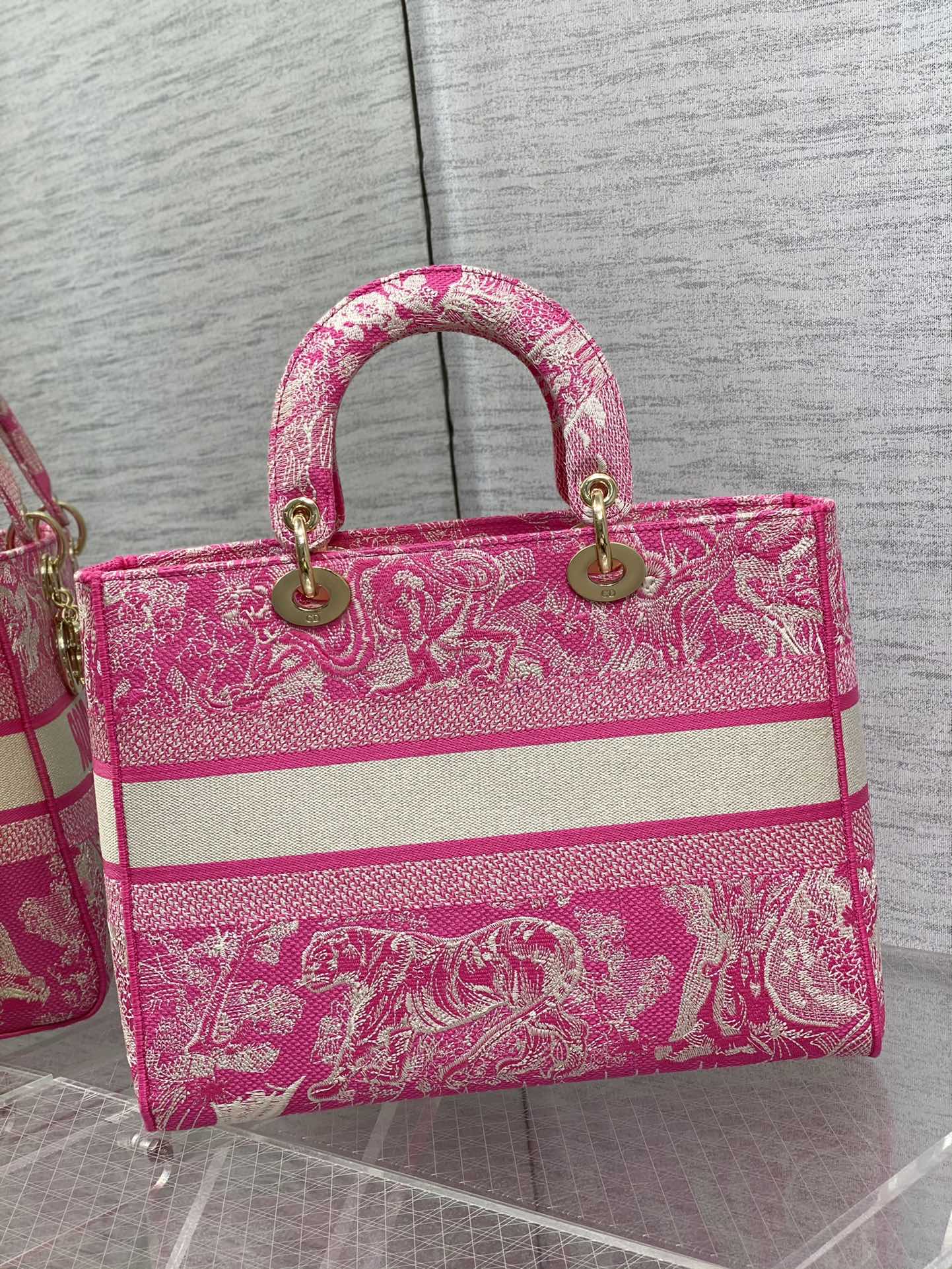 BAG-DIOR-W-LY-080
