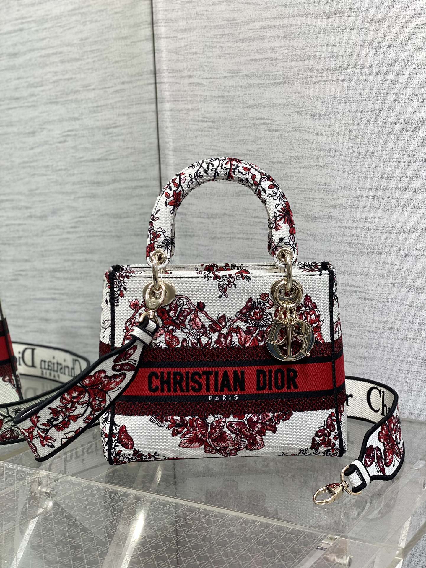 BAG-DIOR-W-LY-442