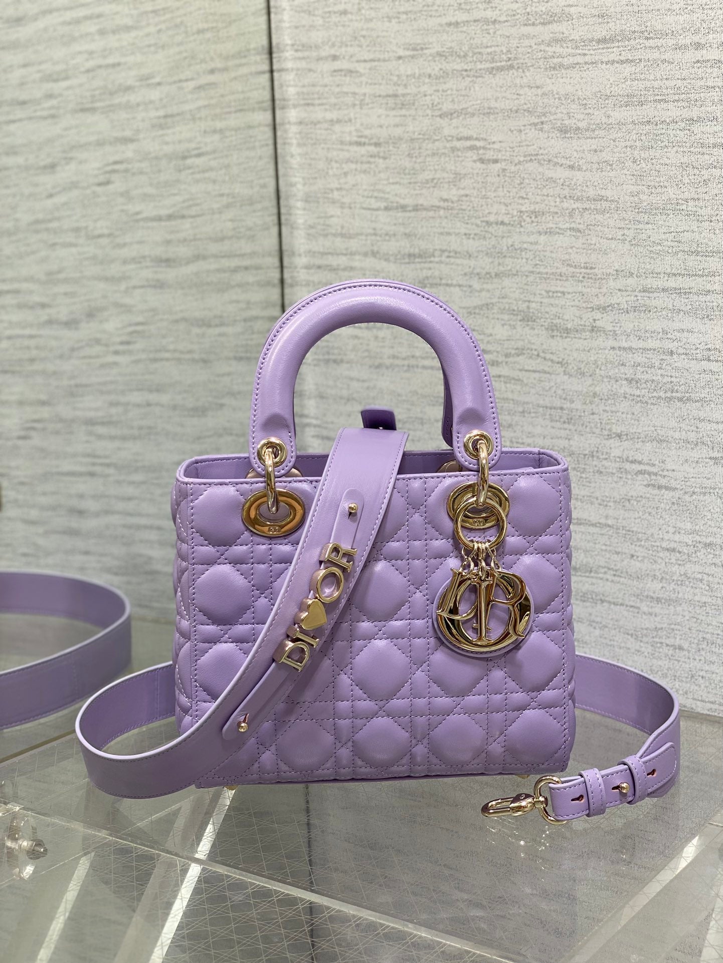 BAG-DIOR-W-LY-672