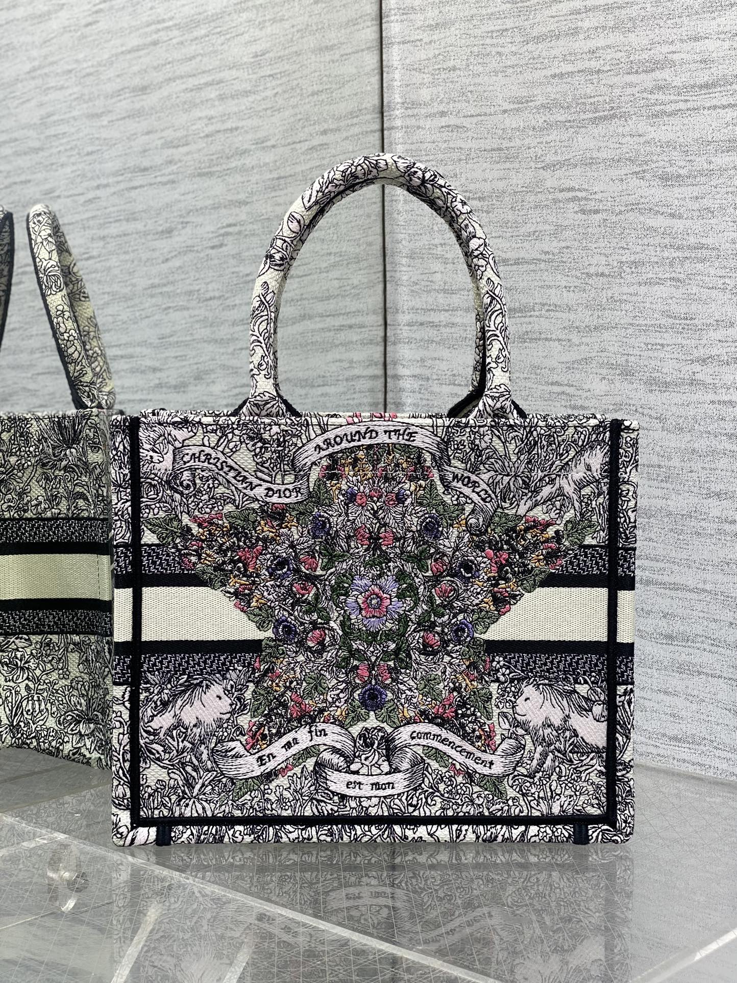 BAG-DIOR-W-LY-822