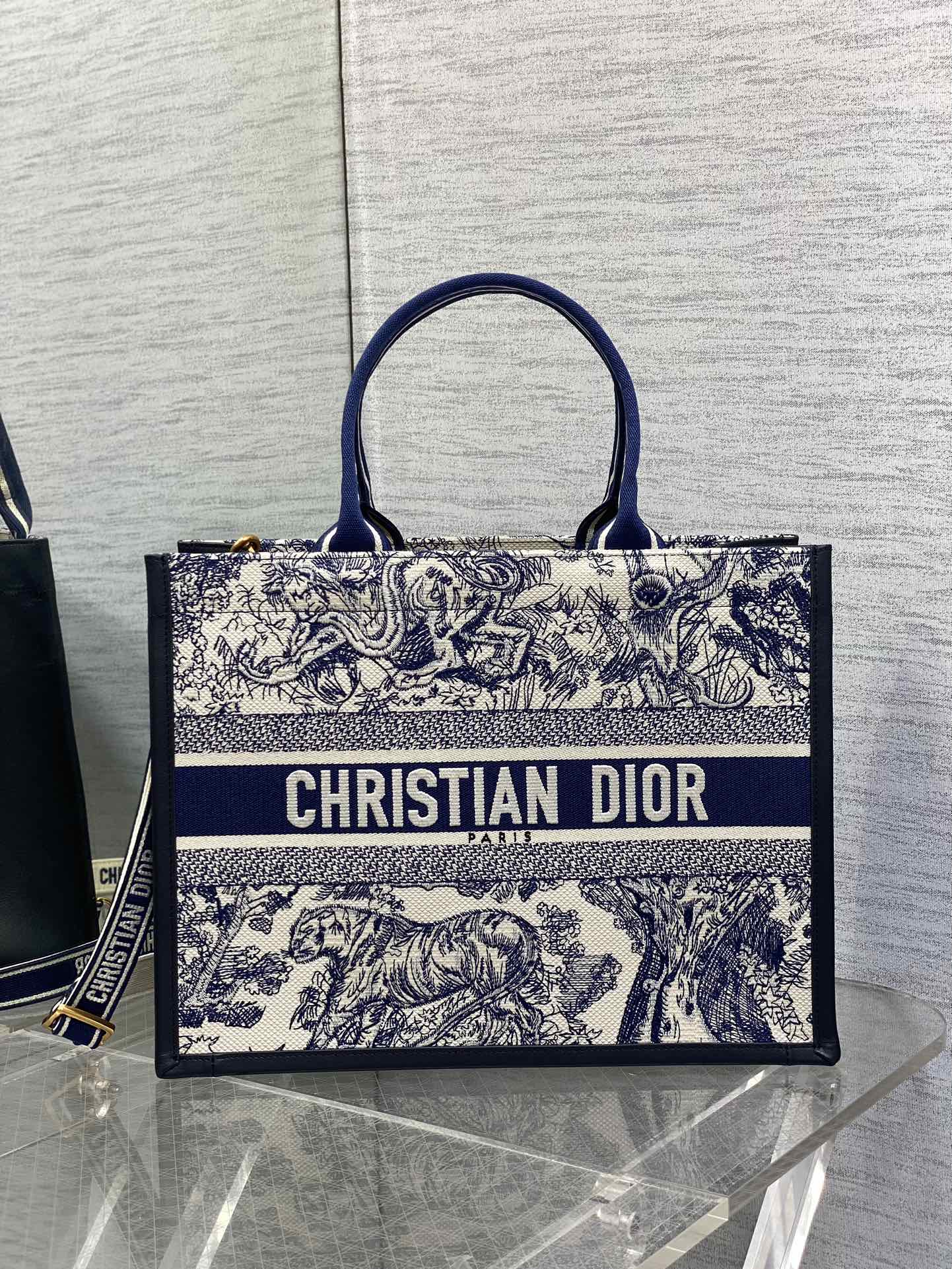 BAG-DIOR-W-LY-833