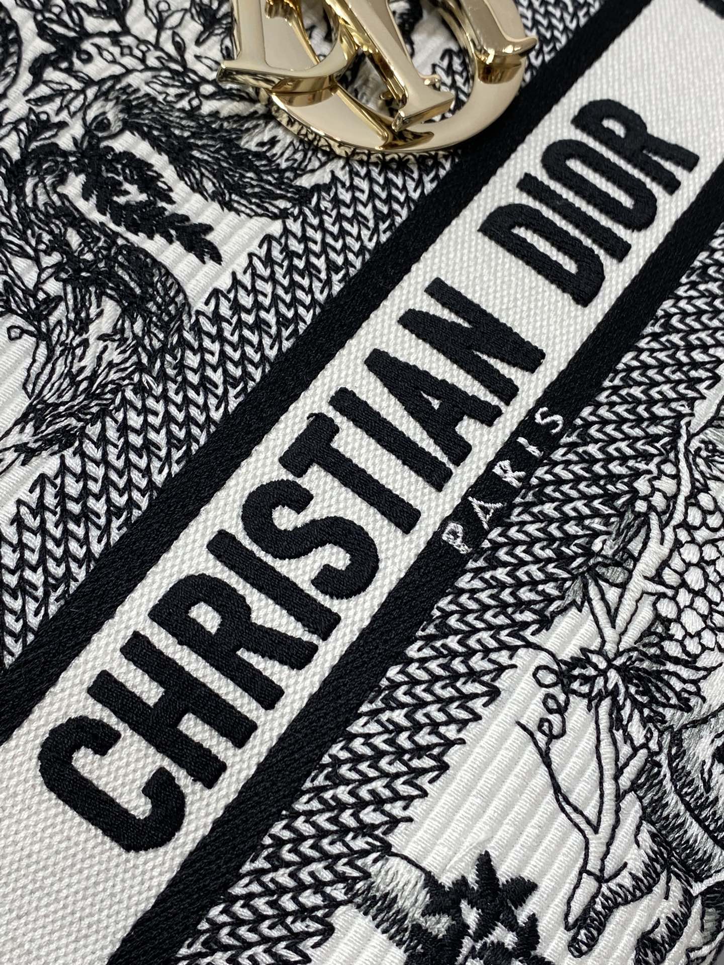 BAG-DIOR-W-LY-445