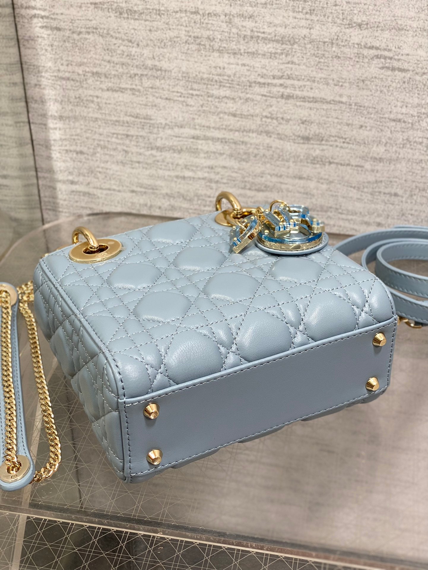 BAG-DIOR-W-LY-011