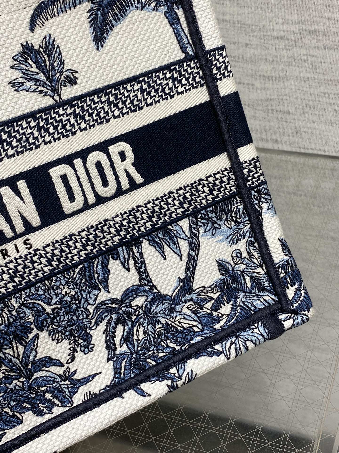 BAG-DIOR-W-LY-938