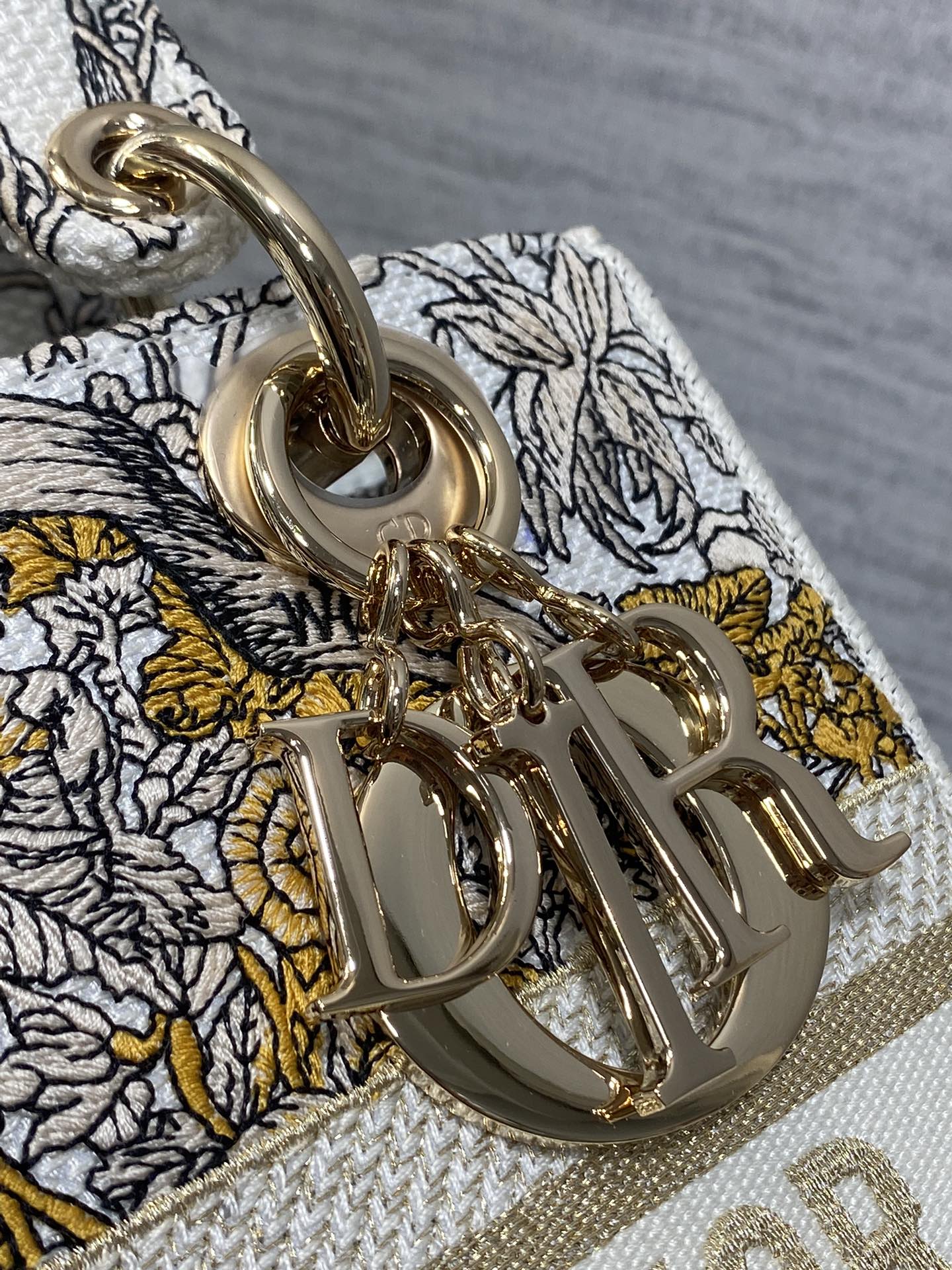 BAG-DIOR-W-LY-494