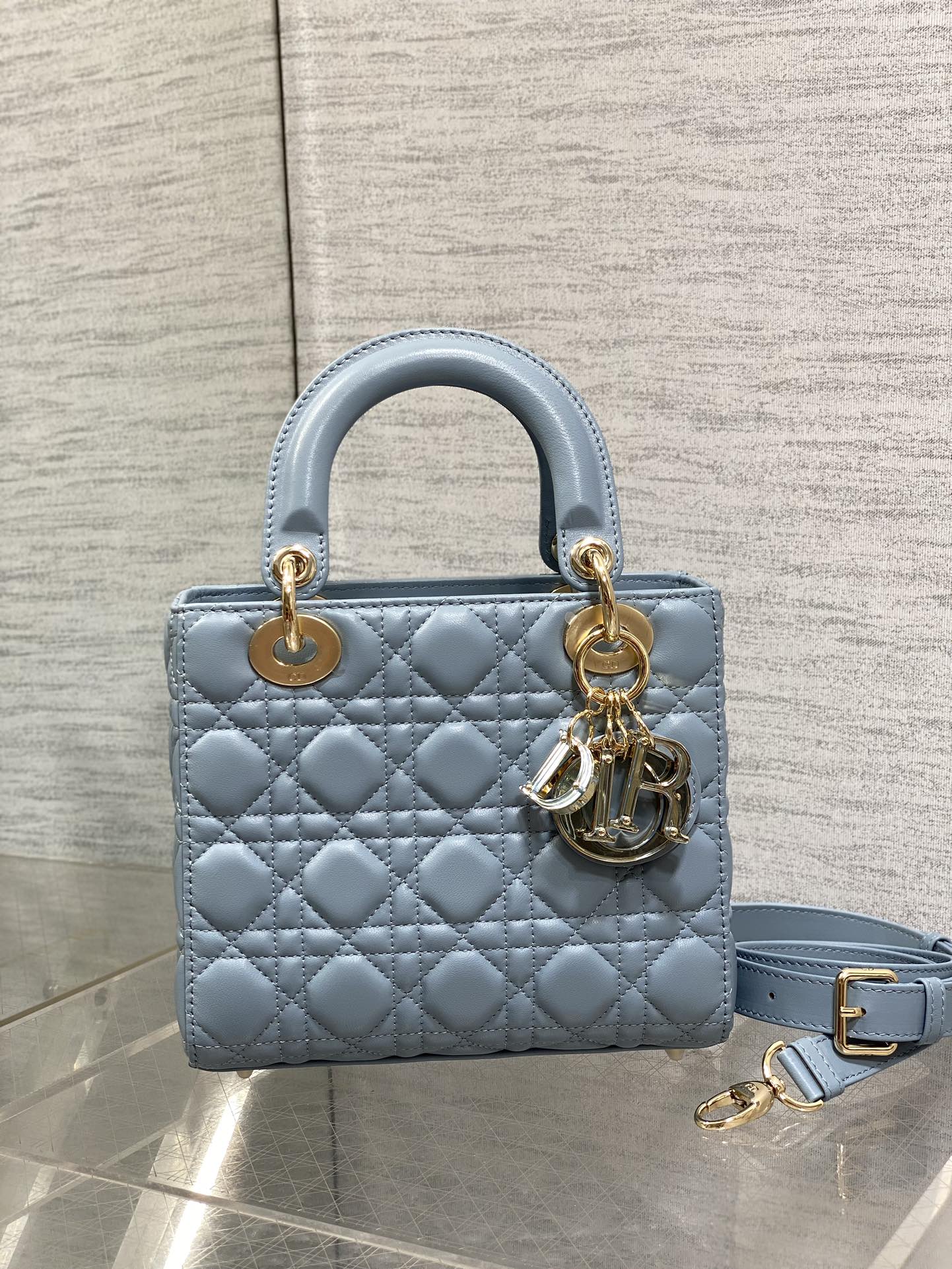 BAG-DIOR-W-LY-010