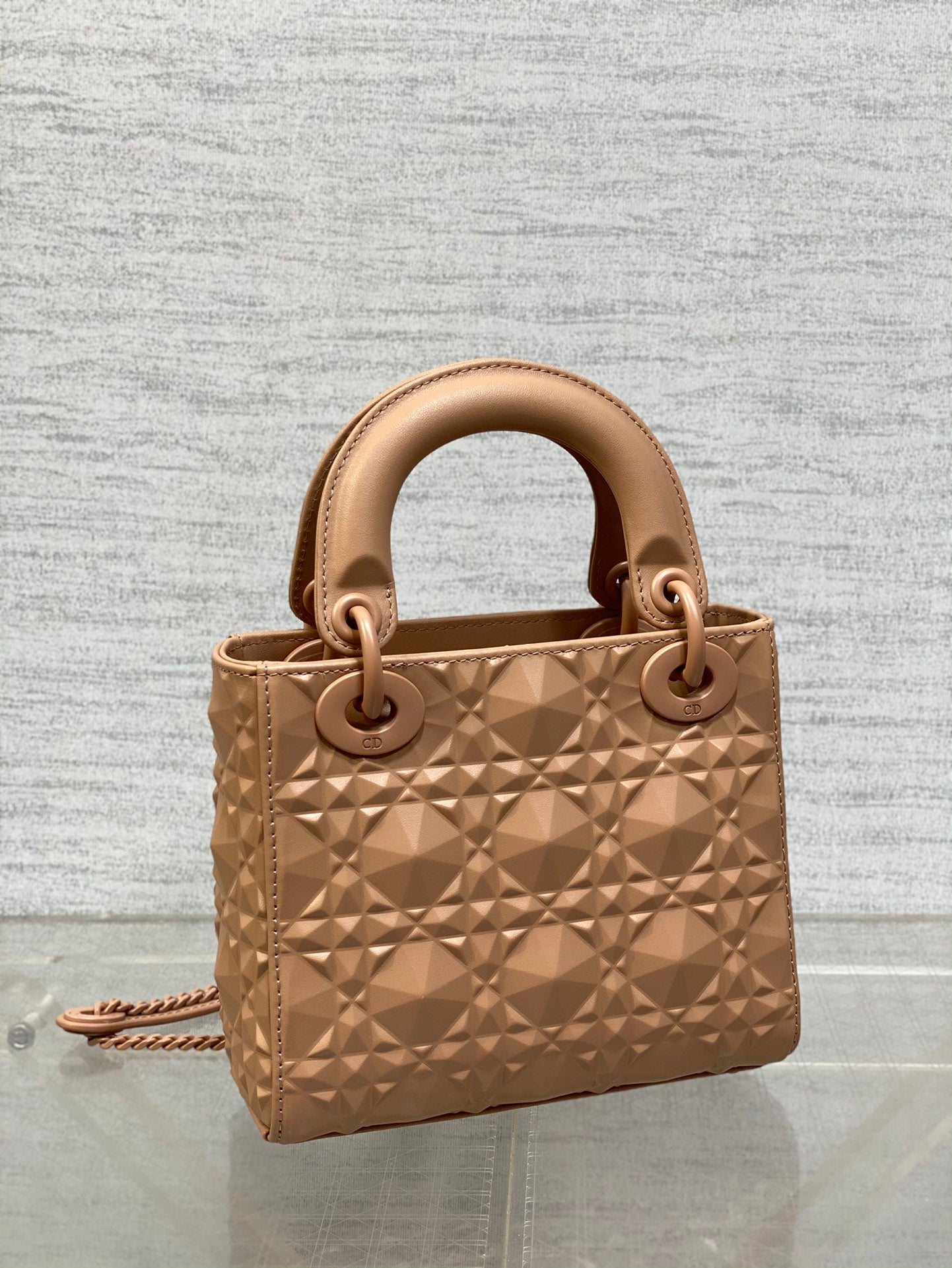 BAG-DIOR-W-LY-558