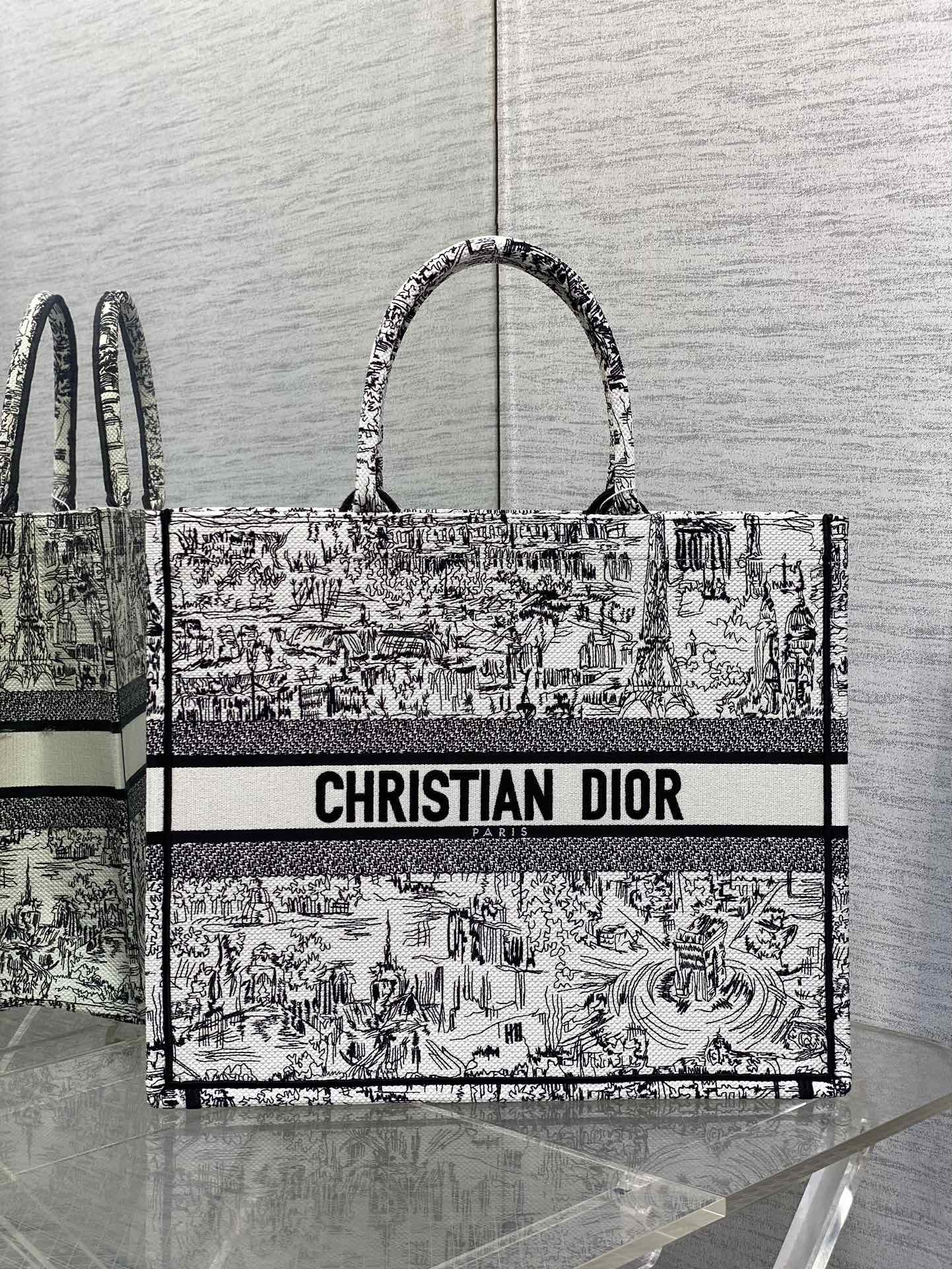 BAG-DIOR-W-LY-199